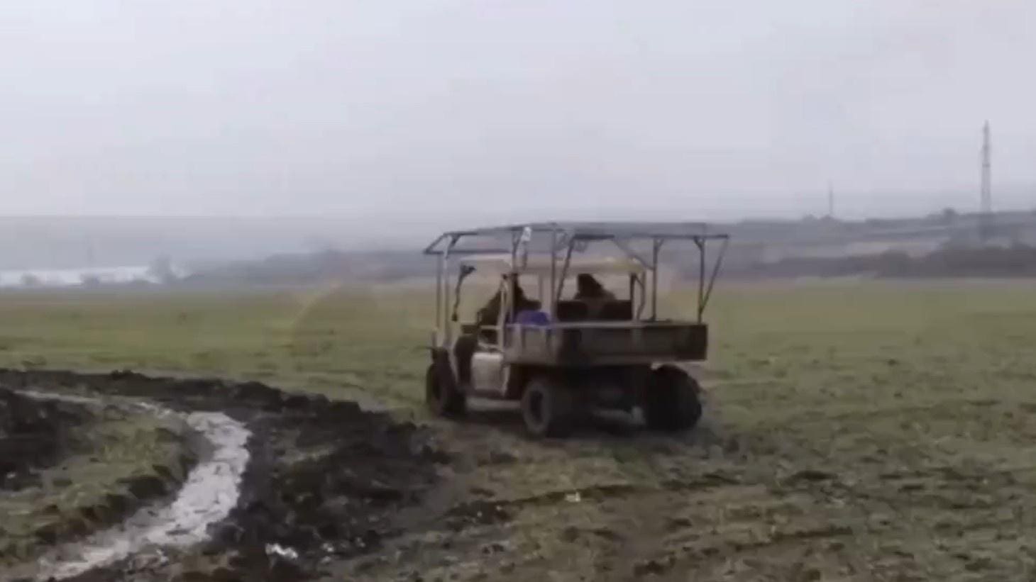 chinese golf carts