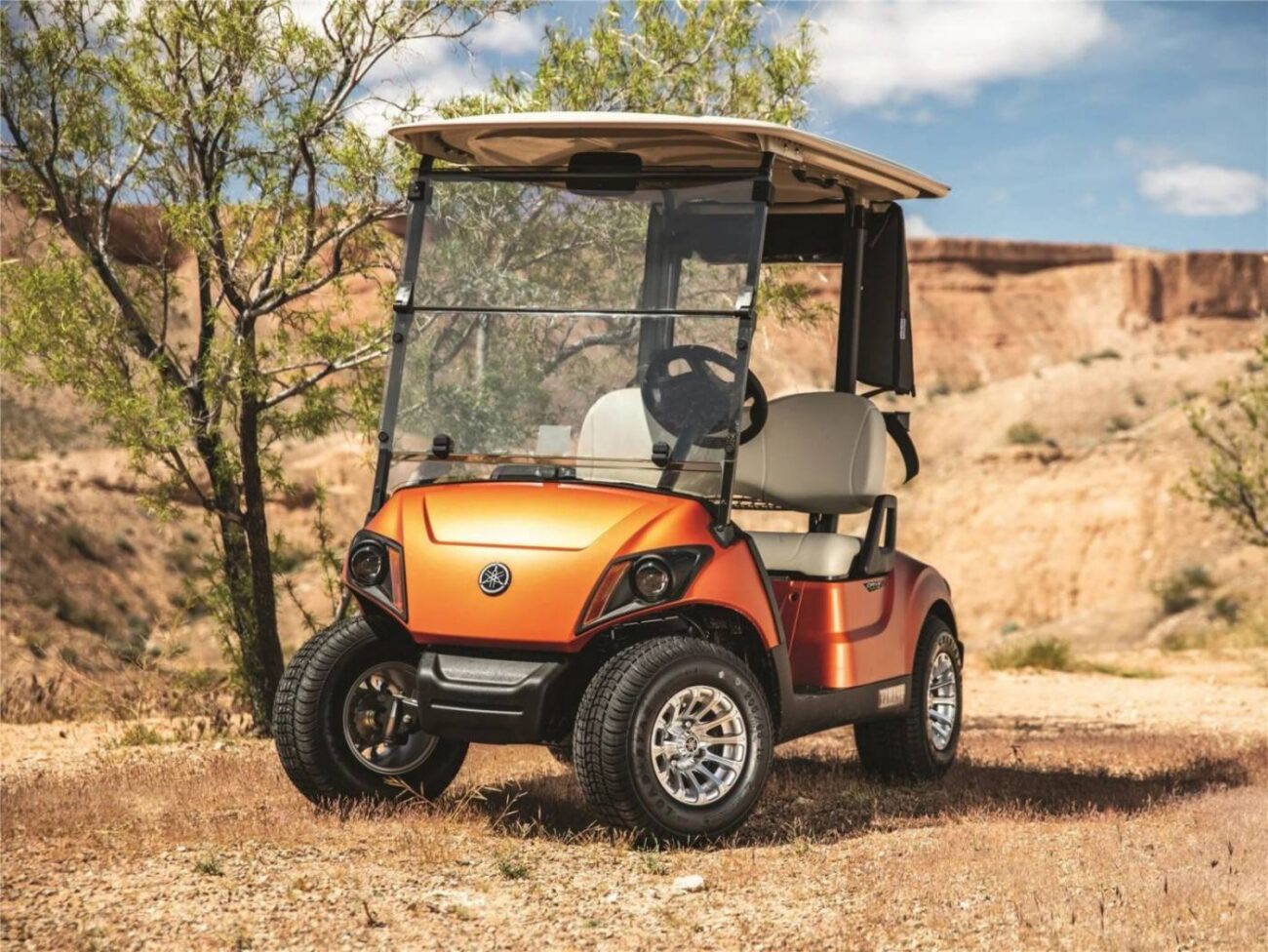 how to adjust governor on yamaha golf cart