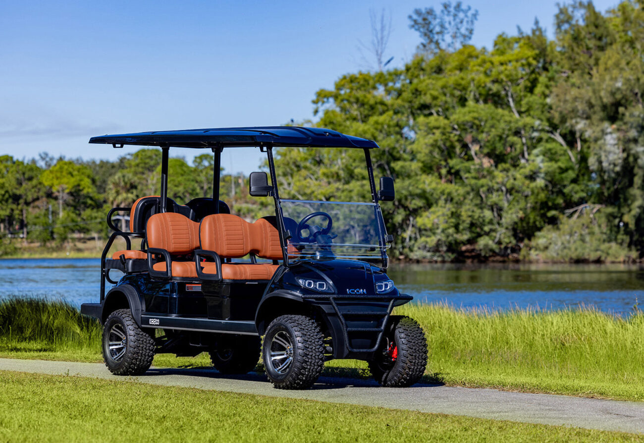 what type motor does icon golf carts use