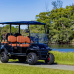 what type motor does icon golf carts use