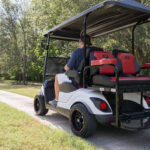 How to tell what year a yamaha golf cart is