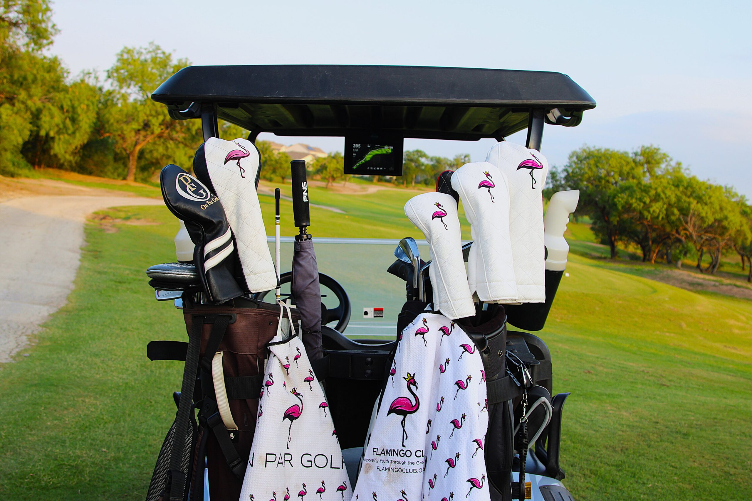 golf cart club protector