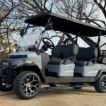 2026 denago golf cart