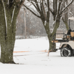 how to store an electric golf cart for the winter