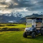 The Modern Landscape of Golf Cart Businesses