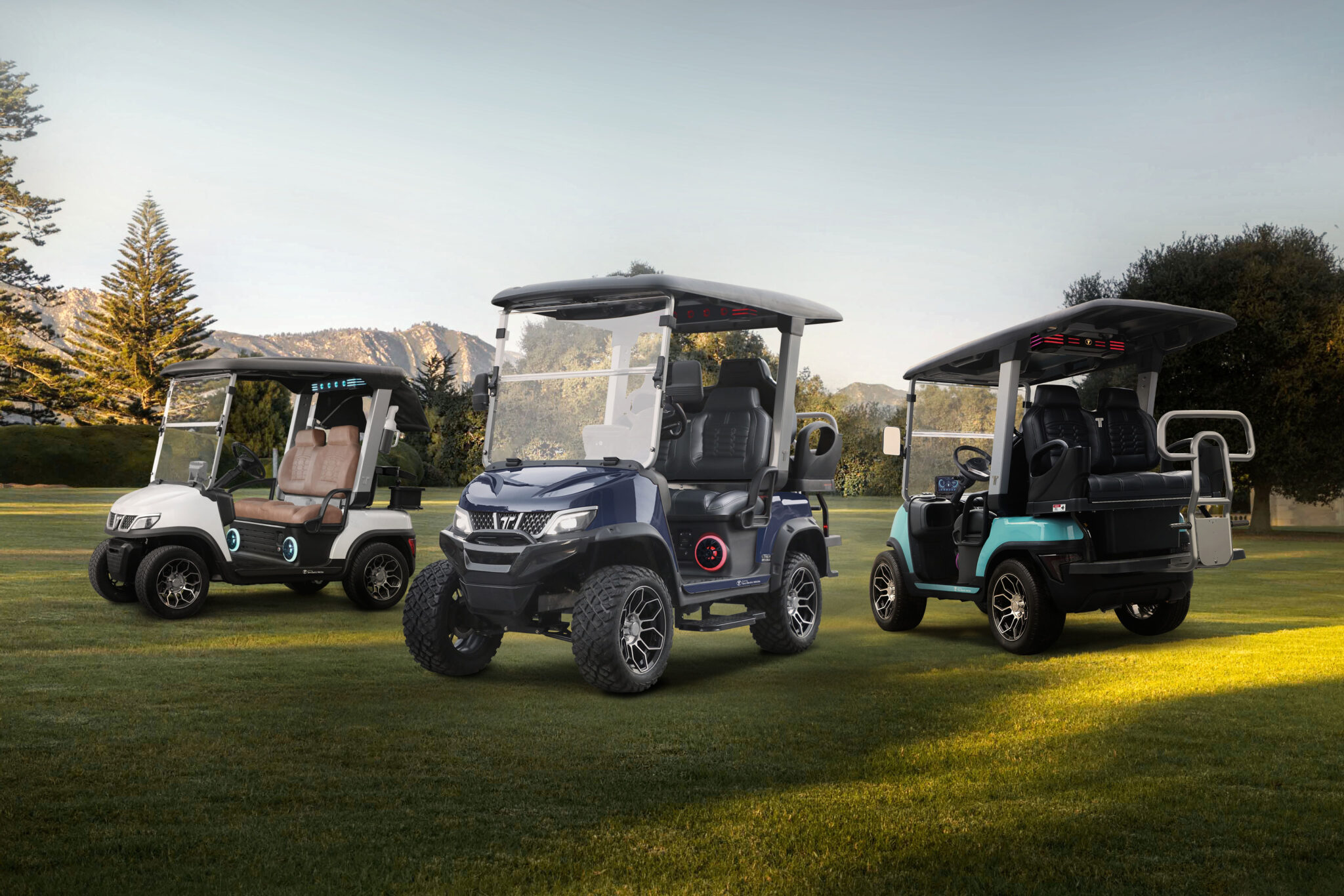how to become a Tara golf cart dealer