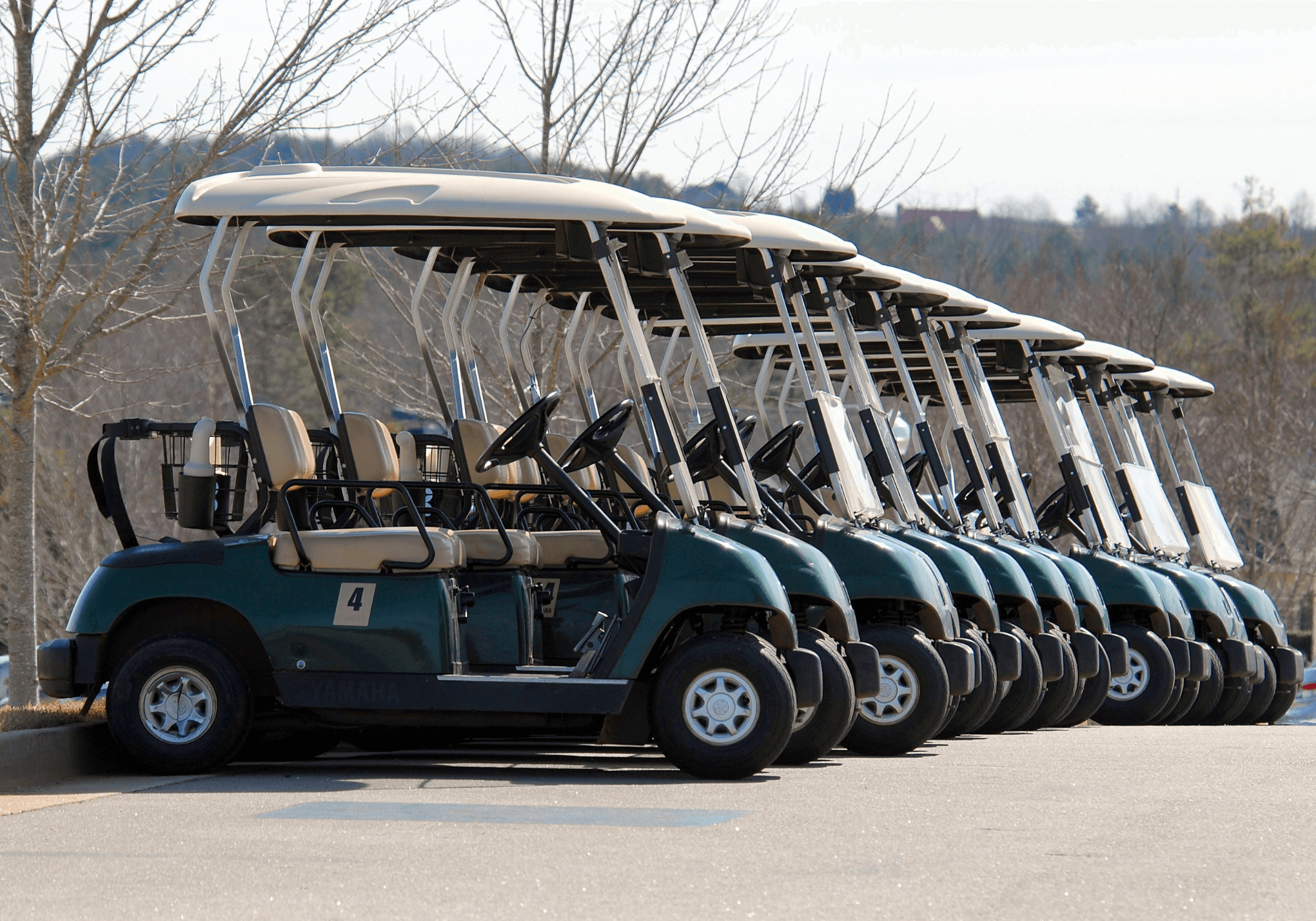 what is the best brand of electric golf cart