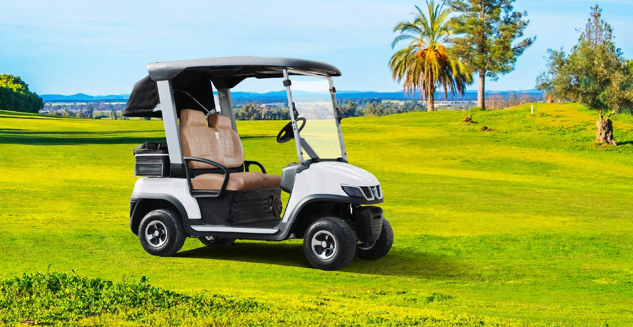what is the best brand of golf cart