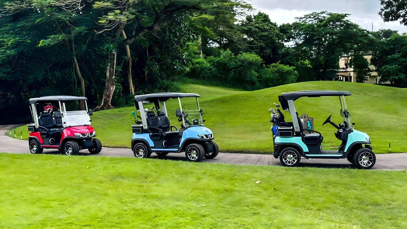 what is the best golf cart brand for the money