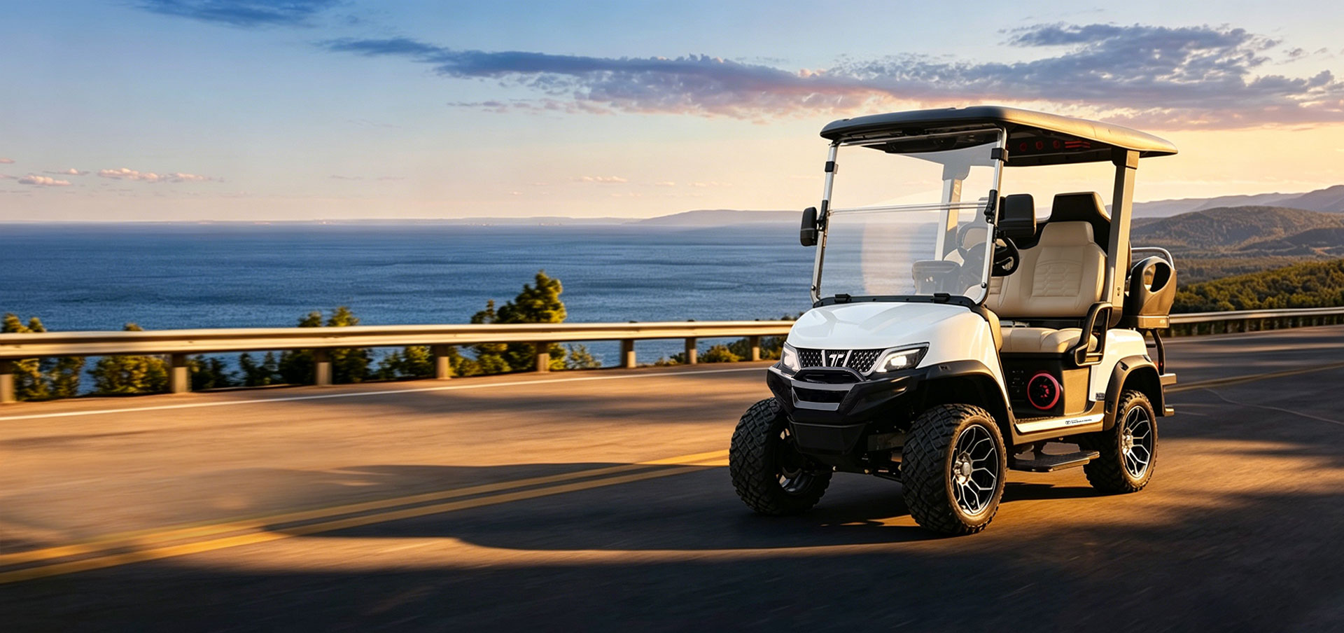 who makes tara golf carts