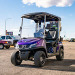 who makes lsv golf carts